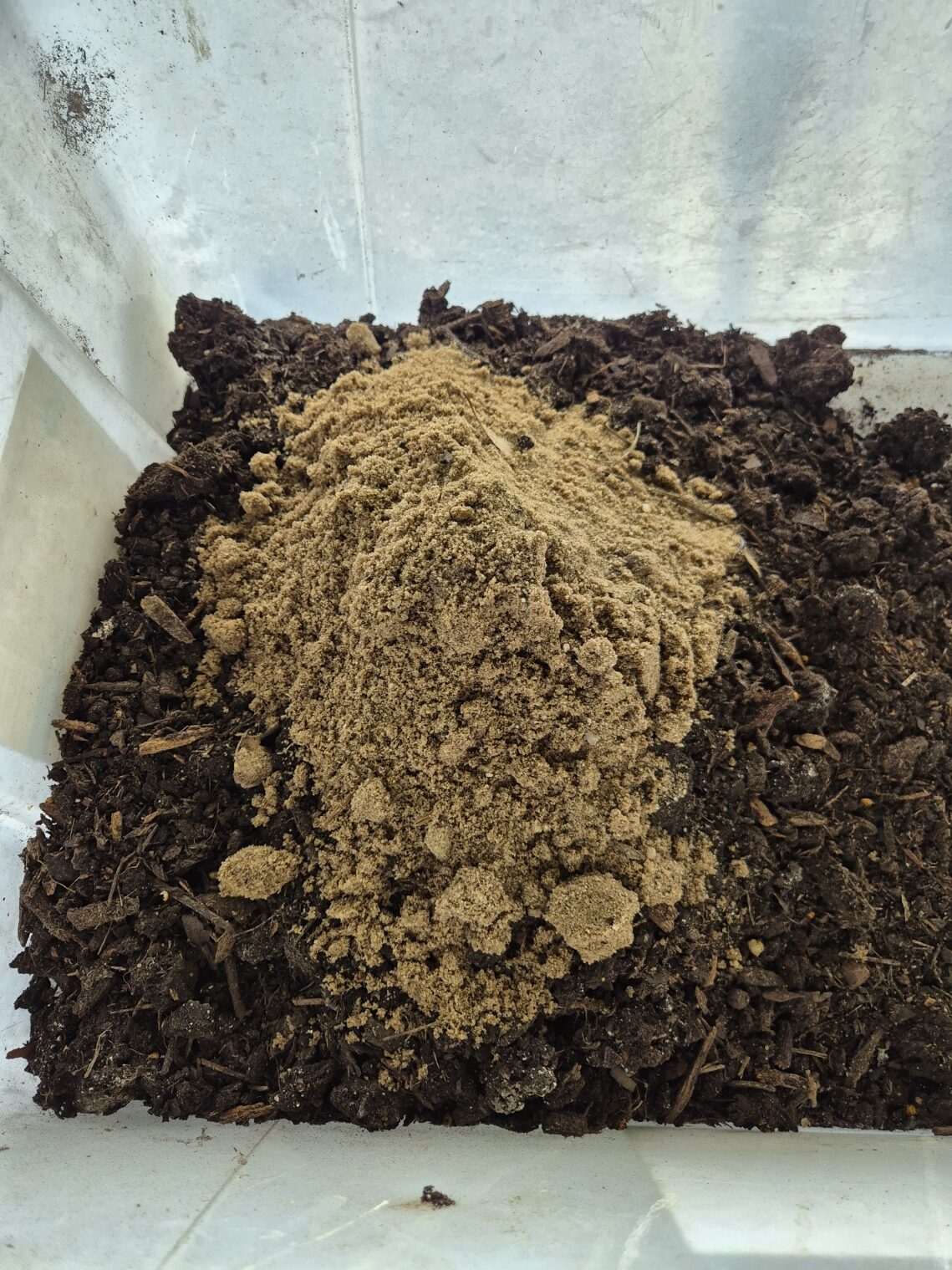 A pile of coarse pale river sand sitting on top of dark potting mix in a white tub, ready to be mixed through for seed raising