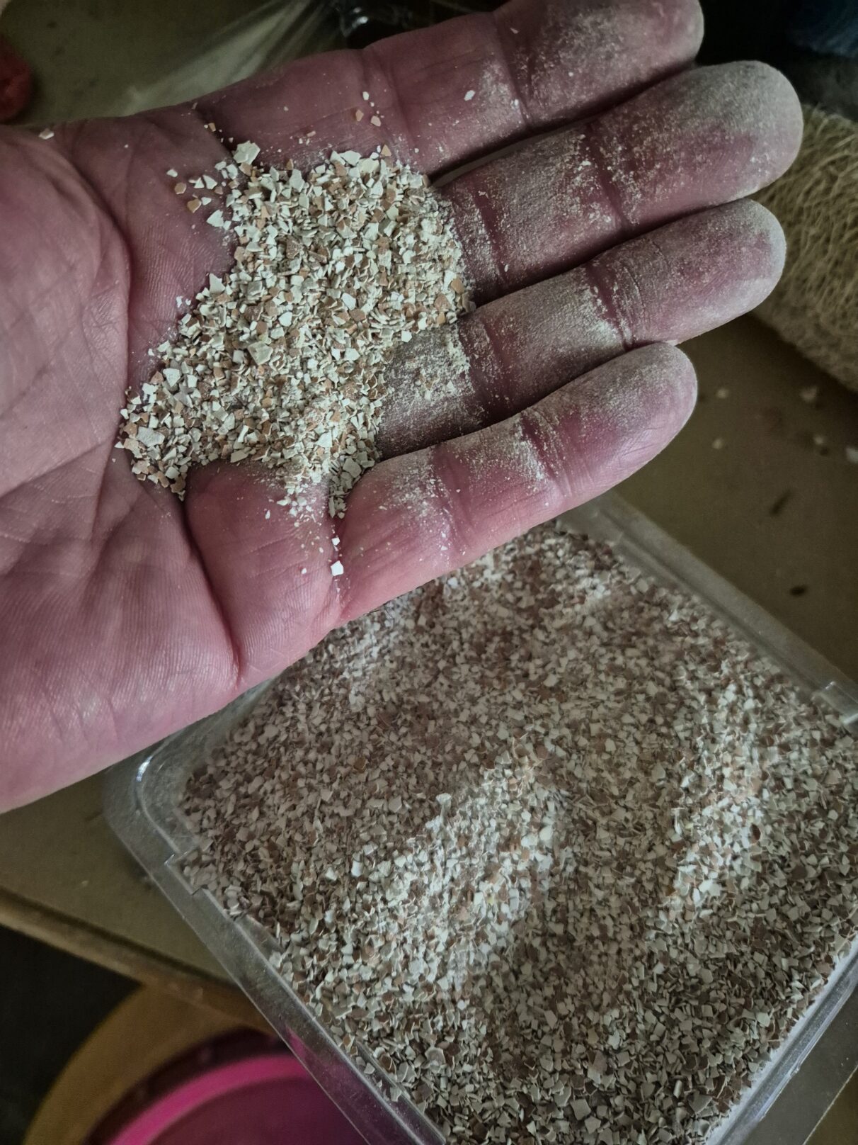 Crushed Eggshells in the Garden: What They Actually Do (and Do Not)