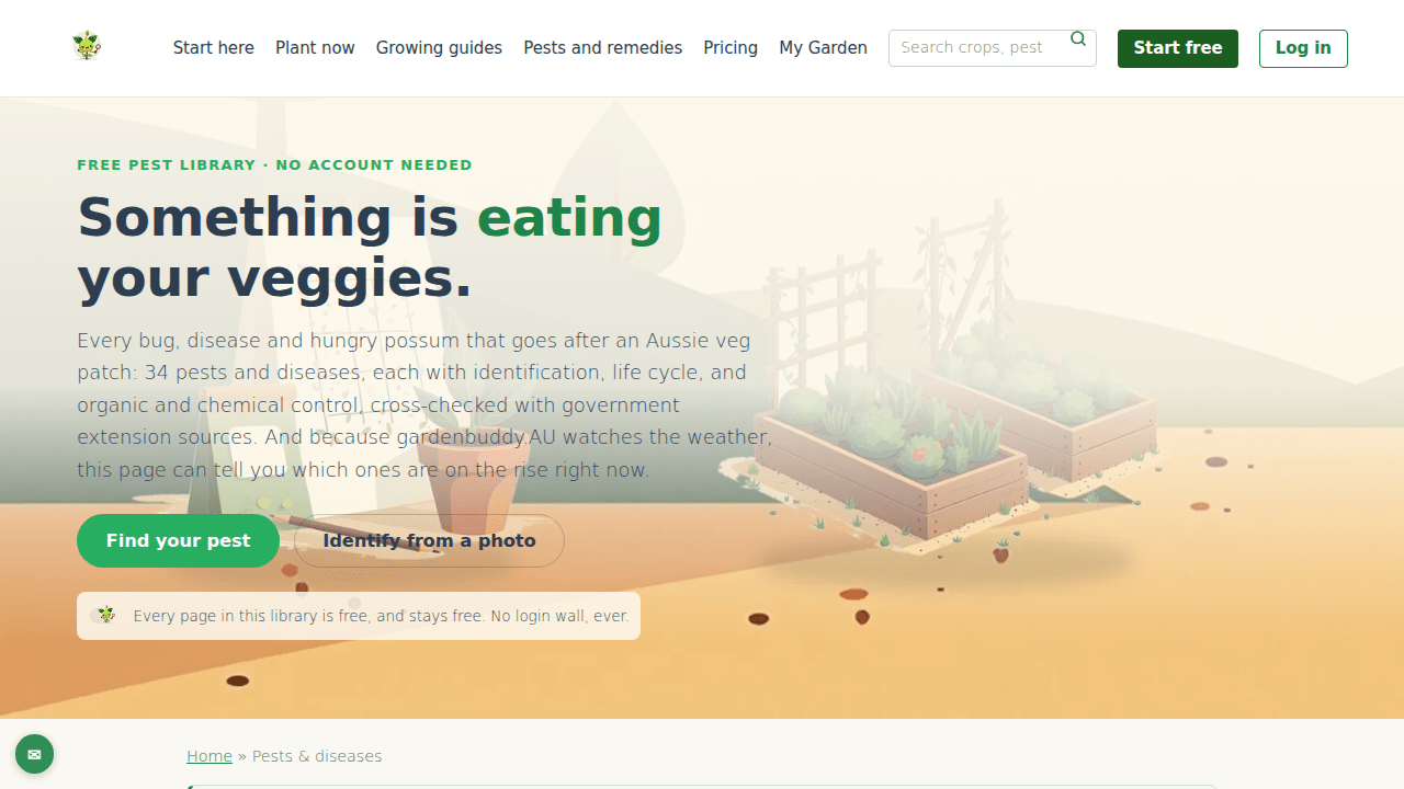What to Do When GardenBuddy.au Warns You About Pest Pressure
