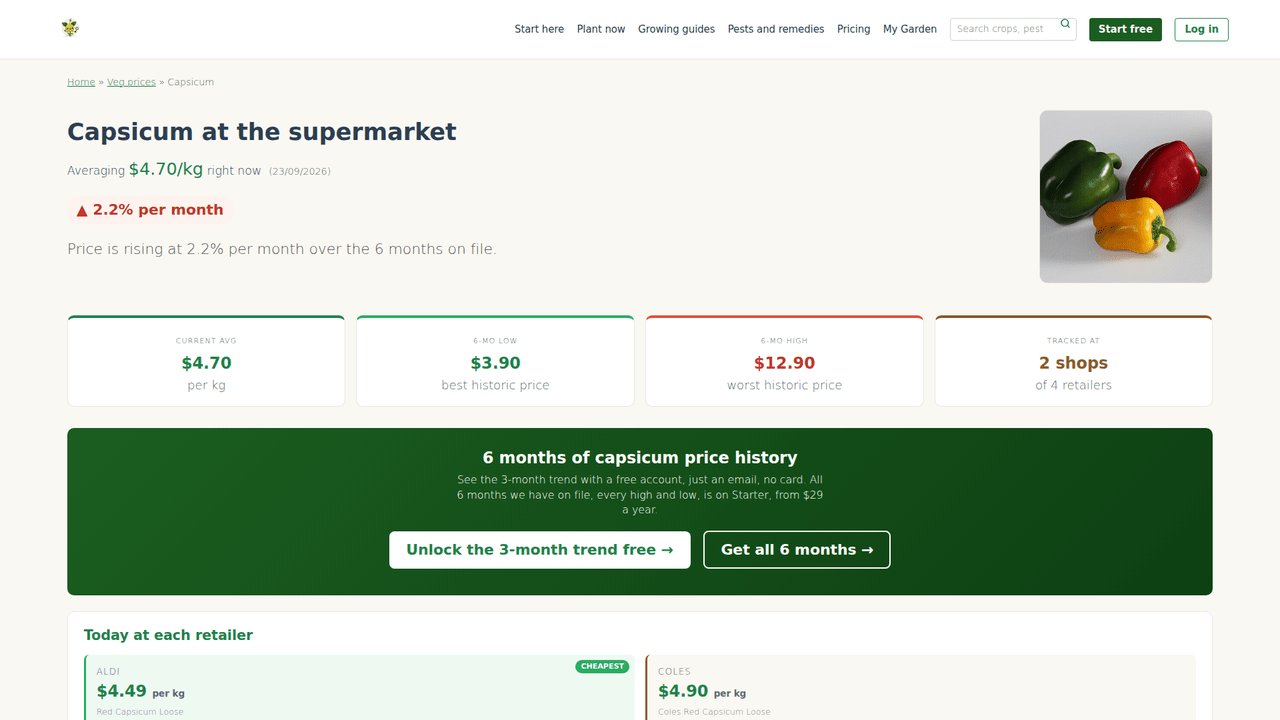 A Season of Capsicum: Every GardenBuddy.au Tool, Start to Finish