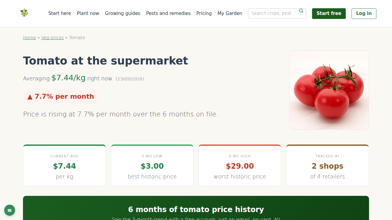 GardenBuddy.au tomato price page showing current average, 6 month low and high, and retailer count