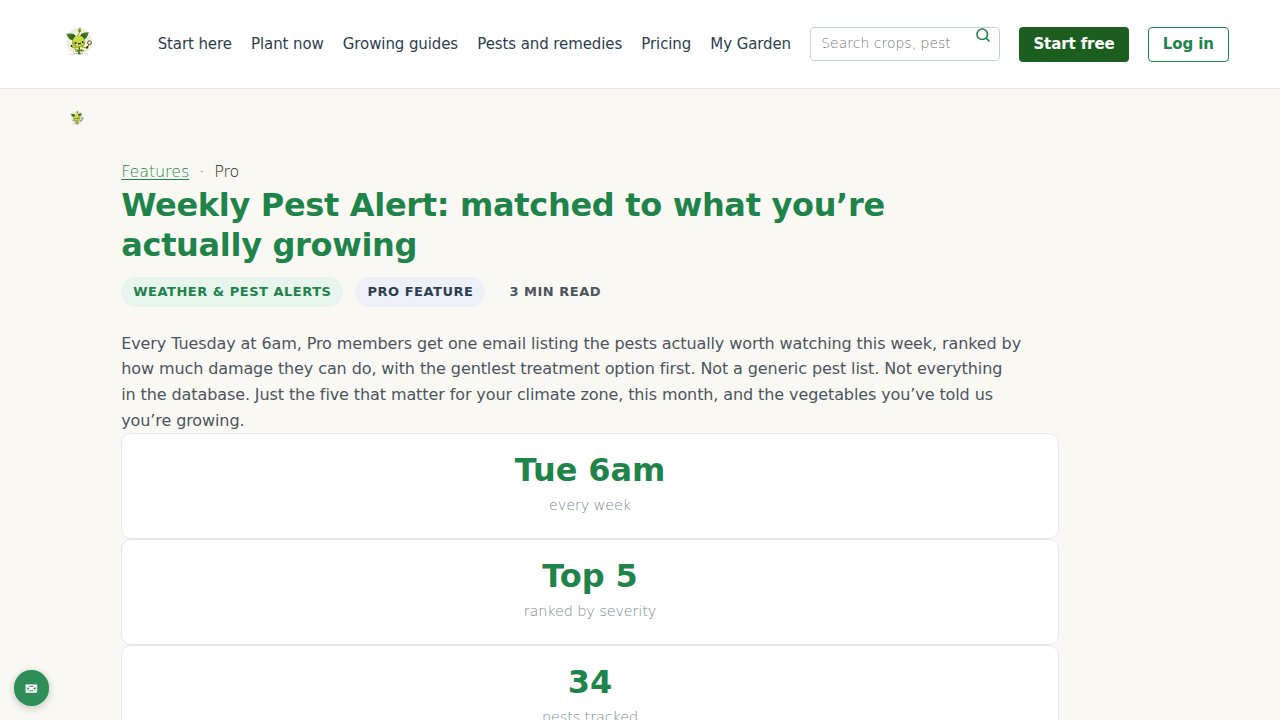 Weekly Pest Alert: matched to what you’re actually growing