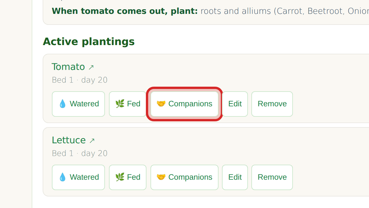 What is new: what to plant with it, before it, and after it
