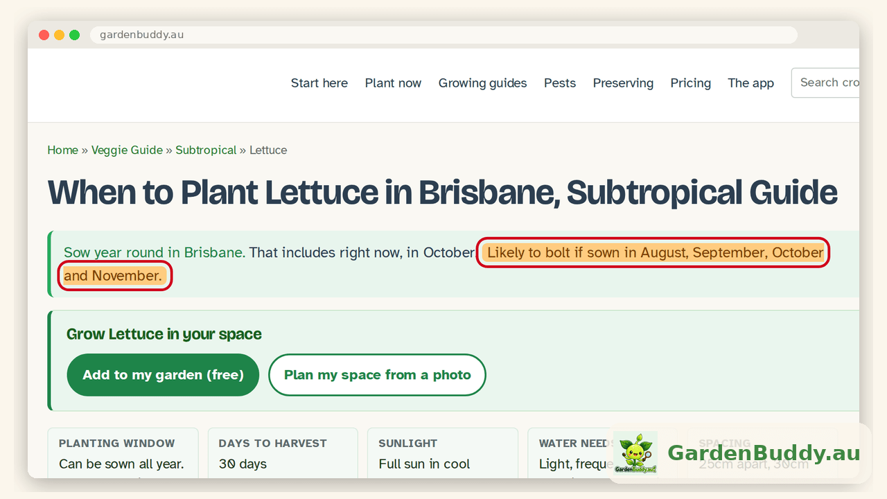 The lettuce guide for the Subtropical zone in a browser window, with the amber sentence Likely to bolt if sown in August, September, October and November outlined in red