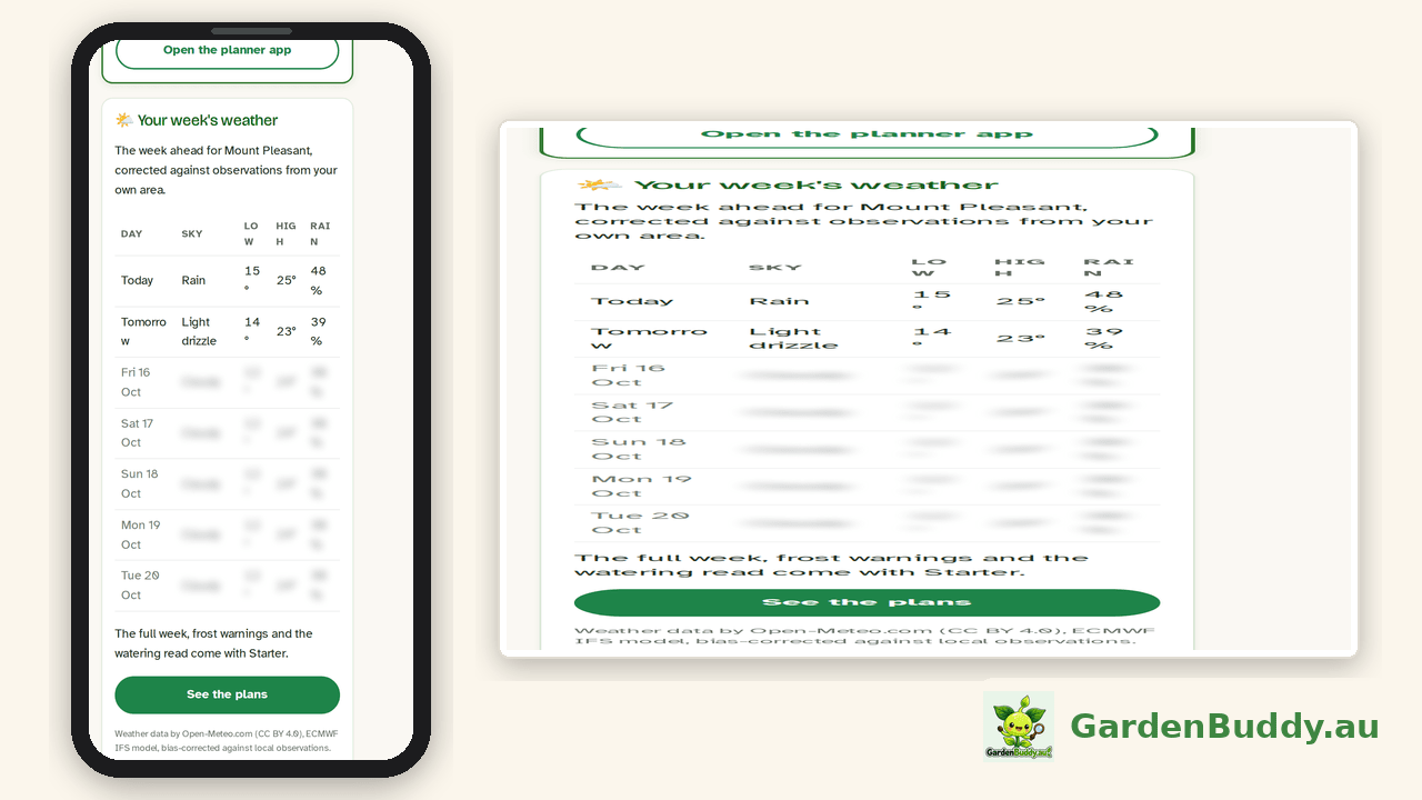 The free plan version of the card on a phone: today and tomorrow shown, five blurred rows, and a See the plans button