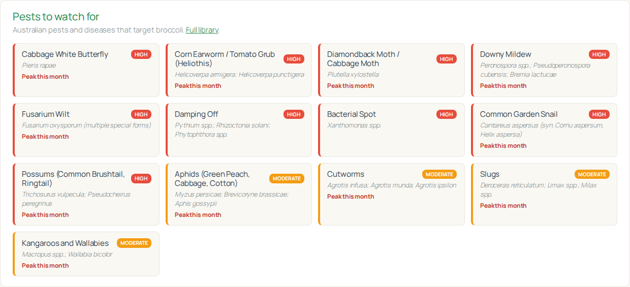 Broccoli pest warnings
