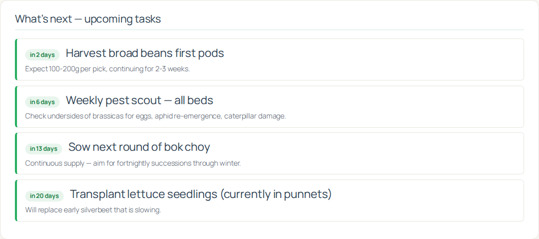 Forward-looking task queue: harvest, pest scout, succession sowing, transplanting
