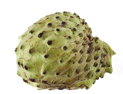 Atemoya