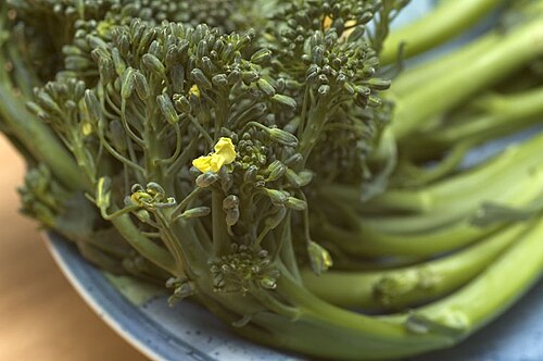 Broccolini