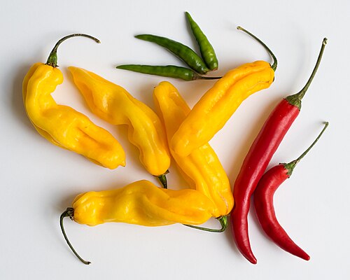 Chilli peppers
