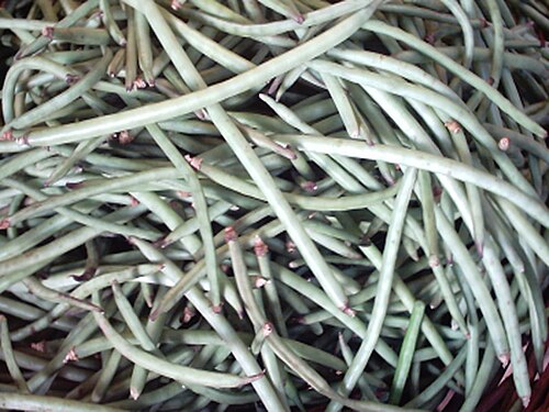 Cowpeas
