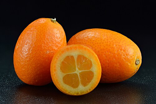 Cumquat