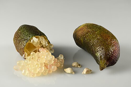 Finger Lime