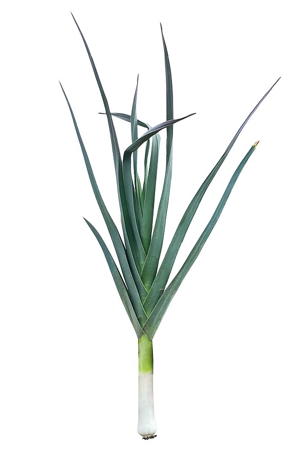 Leeks
