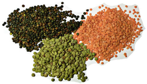 Lentils