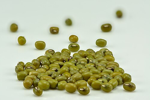 Mung Bean