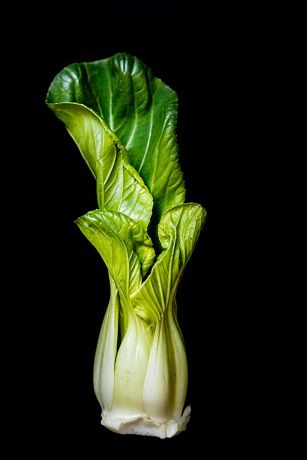 Pak Choy (Bok Choy)