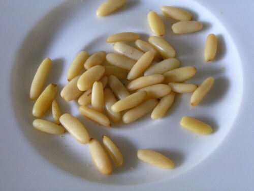 Pine Nut