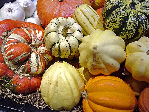 Winter squash